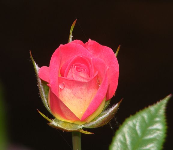 You're the One photo yto2014_06280023_zpsfdc4e3d8.jpg